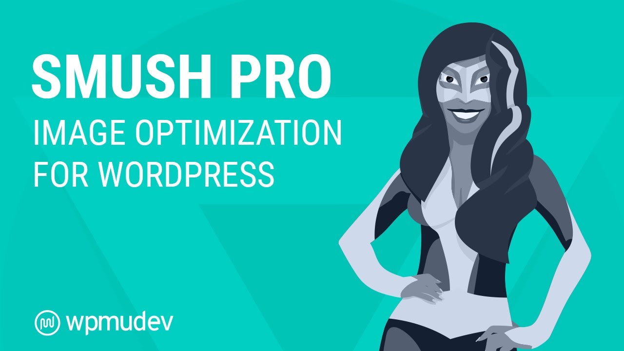 WP Smush Pro v3.16.2汉化版|TechTink技术微匠