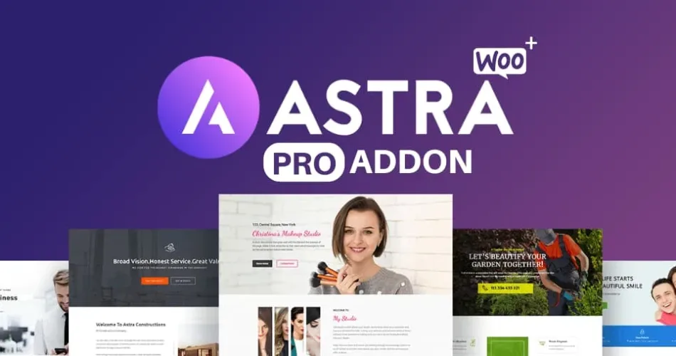 Astra Pro Addon v4.10 开心版（GPL协议）|TechTink技术微匠